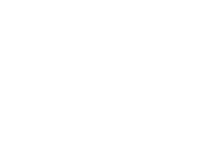 LOS NOVENOS